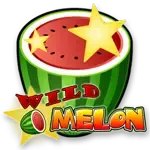 Wild Melon game icon
